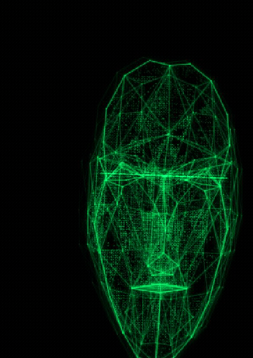 Moving preview of the realtime wireframe avatar